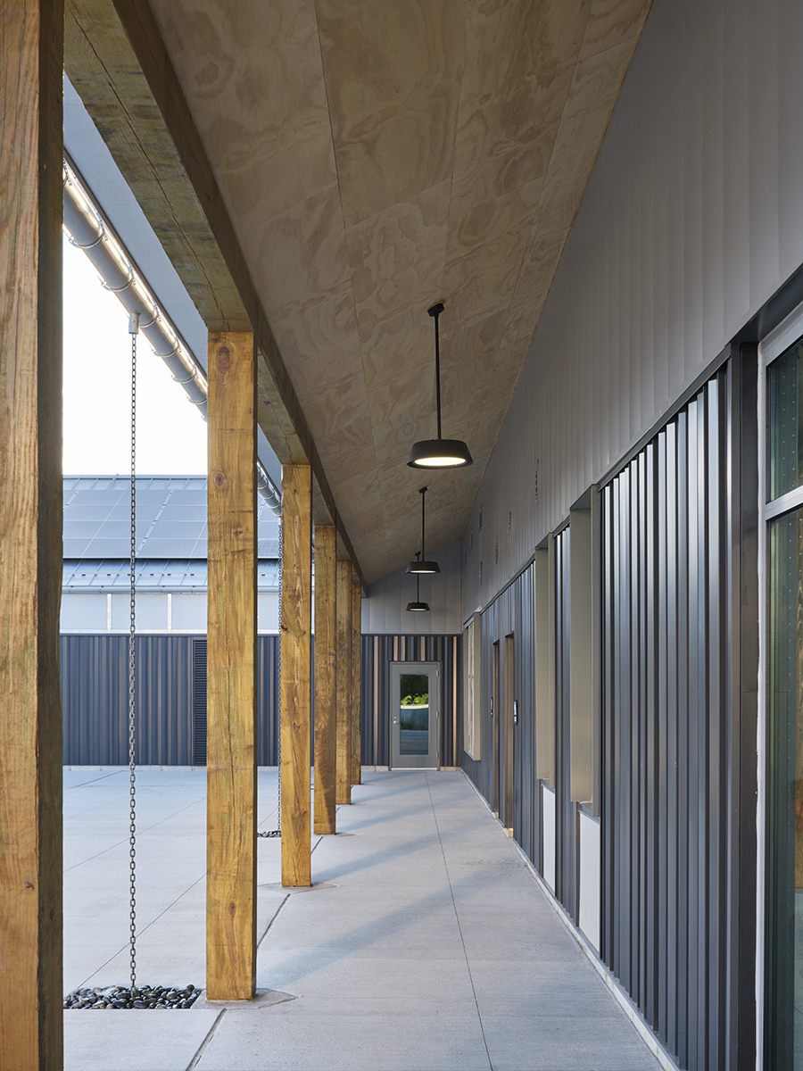 Shaker_Trace_254_gallery